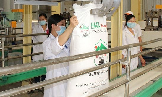 GEM invests $80m in Hoang Anh Gia Lai Group