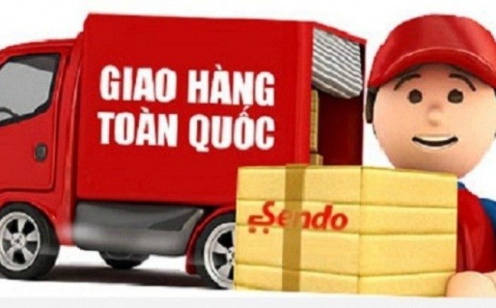 Japanese cos acquires 33% in Vietnam’s Sen Do