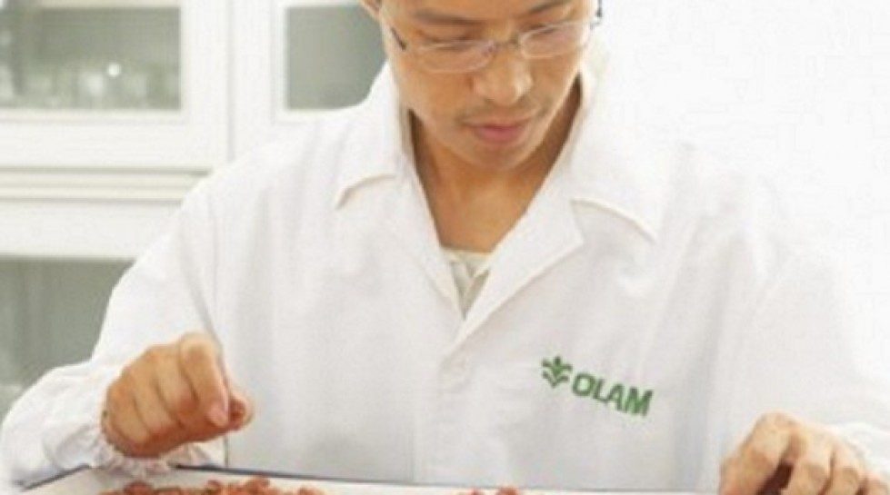 Singapore: Olam acquires wheat mills,expands African footprint