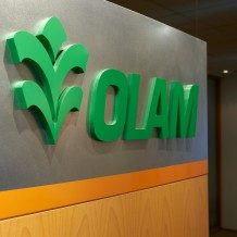 Olam Group eyes agri unit's Singapore-Saudi dual IPO by first half of 2024