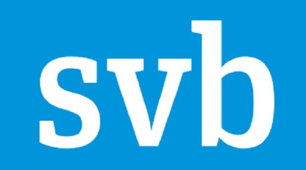 Temasek buys SVB's Indian venture debt arm 
