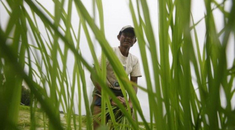 Indonesian agritech startup TaniHub has identified its next engine of growth — lending