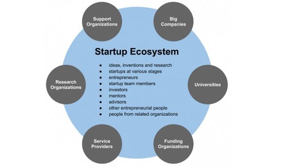 Venture Capital Firms: Function And Role Of Associates