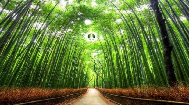 VN Dealbook: Bac Lieu seek investment for projects, securities cos to merge, Thong Nhat raises capital for M&A