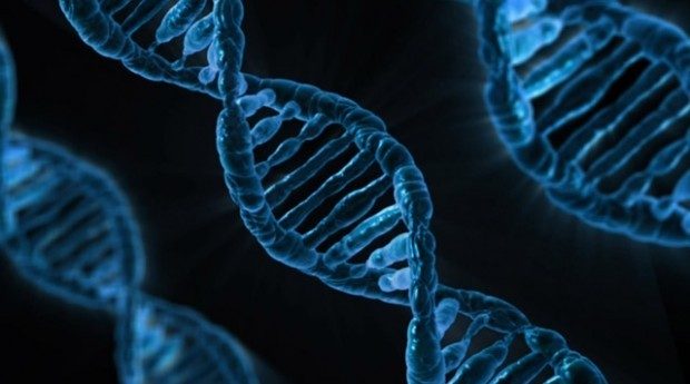 DNA research paves way for self-replicating materials