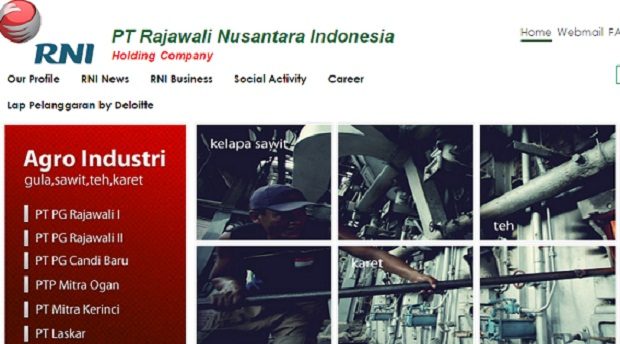 Indonesia’s Rajawali Group in divestment mode