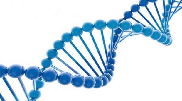 HK-based Prenetics acquires wellness app Kelaa from Soma Analytics