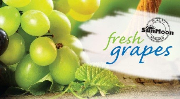 Singapore-listed SunMoon buys 51% stake in China fruit seller Harvest Season