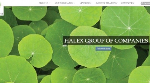 Malaysia's Halex plans two-call rights issue to acquire property co