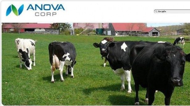 Vietnamese property developer Nova Group forays into dairy business with $50m investment