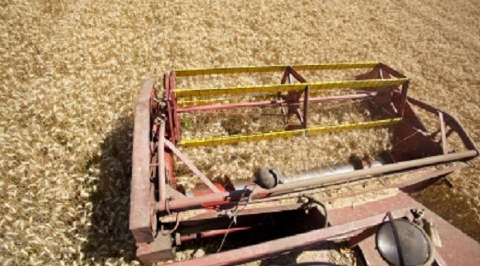 Dutch development bank FMO to invest $15m in Sahyadri Farms