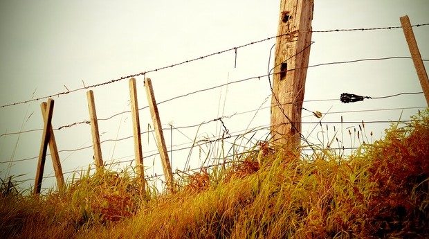 SG Realty Dealbook: Another lot of Joo Chiat shophouses for sale; Fraser's wins big Down Under