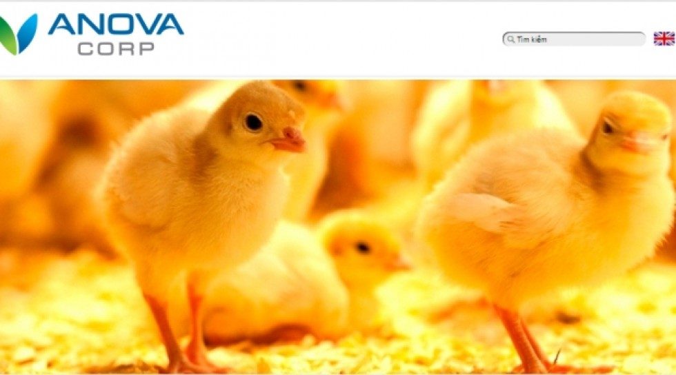 Vietnam: IFC to invest $10m in livestock platform Anova Corp