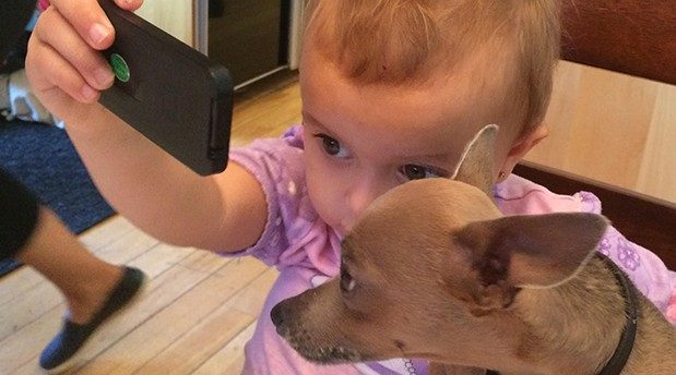 China's Tsinghua to buy Western Digital stake in US tech push