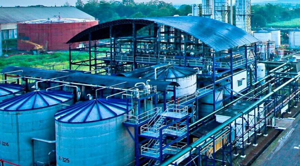 Philippines sugar major Roxas Holdings appoints Celso Dimarucut as new CFO