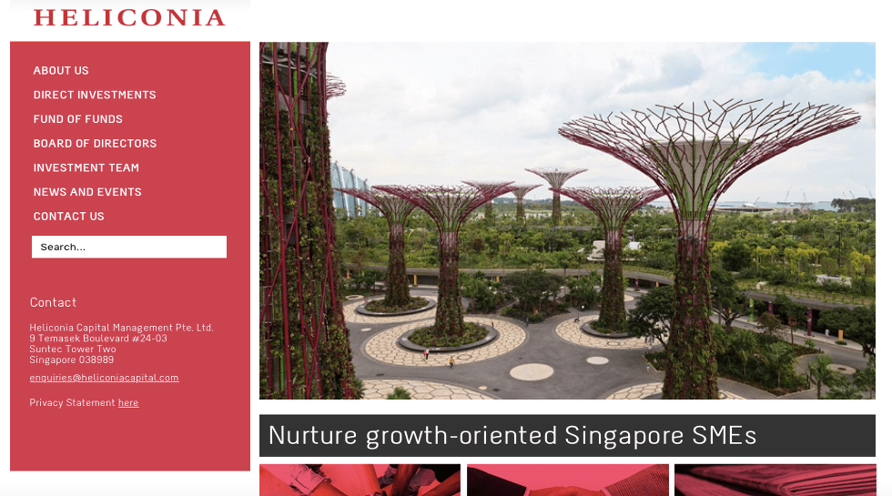 Temasek unit Heliconia Capital bets on Singapore growth ventures looking to turn global
