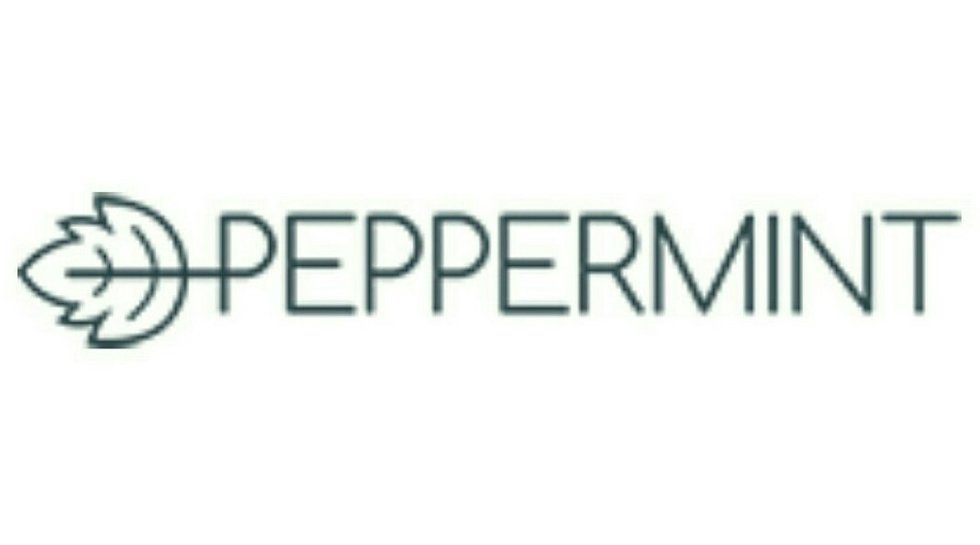 Australia fintech Peppermint Innovation raises $2.8m in IPO to fuel Philippine expansion