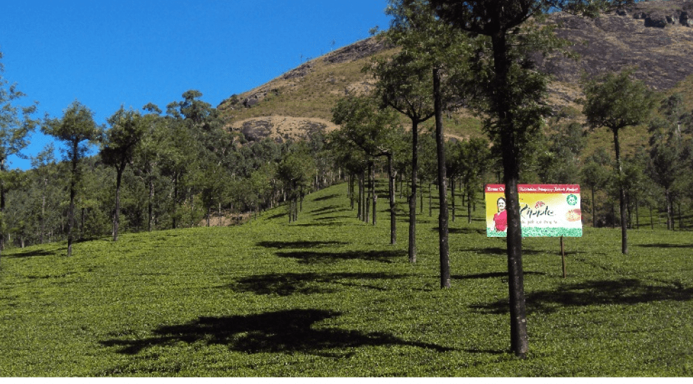 India: Duncan-Goenka group plans to sell tea estates to improve liquidity