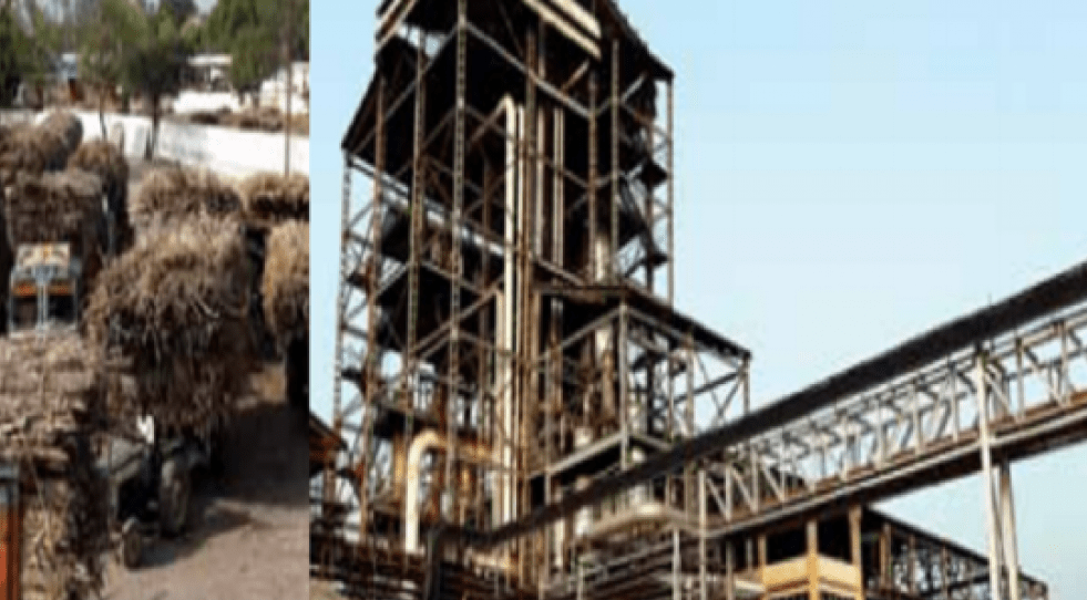 India: Nalanda Capital offloads 6.3% more in Triveni Engineering
