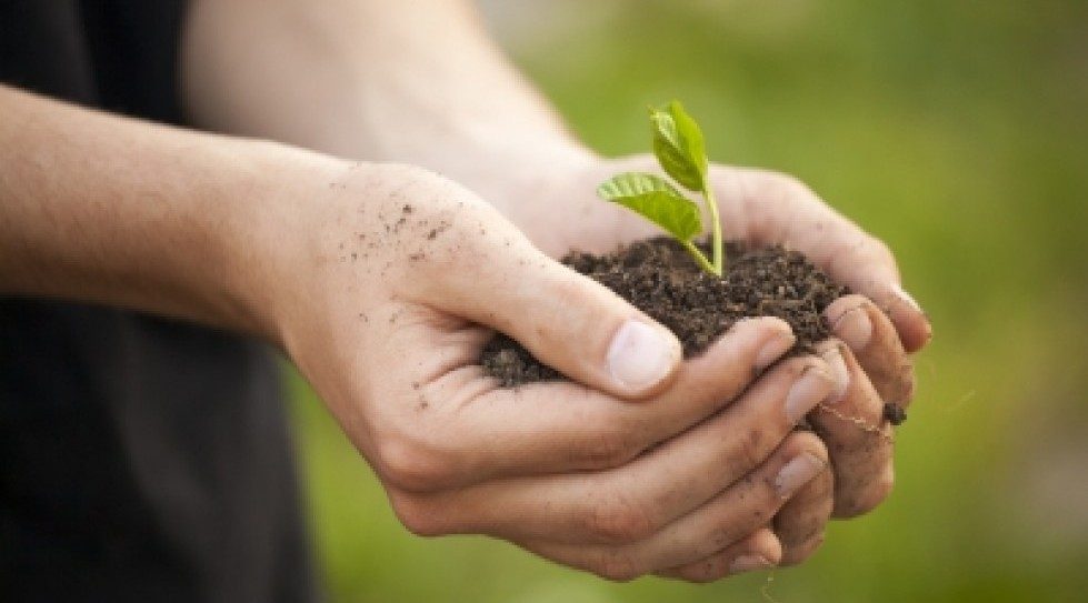 Delhi Govt, University of Chicago partner to fund best startup ideas to curb pollution