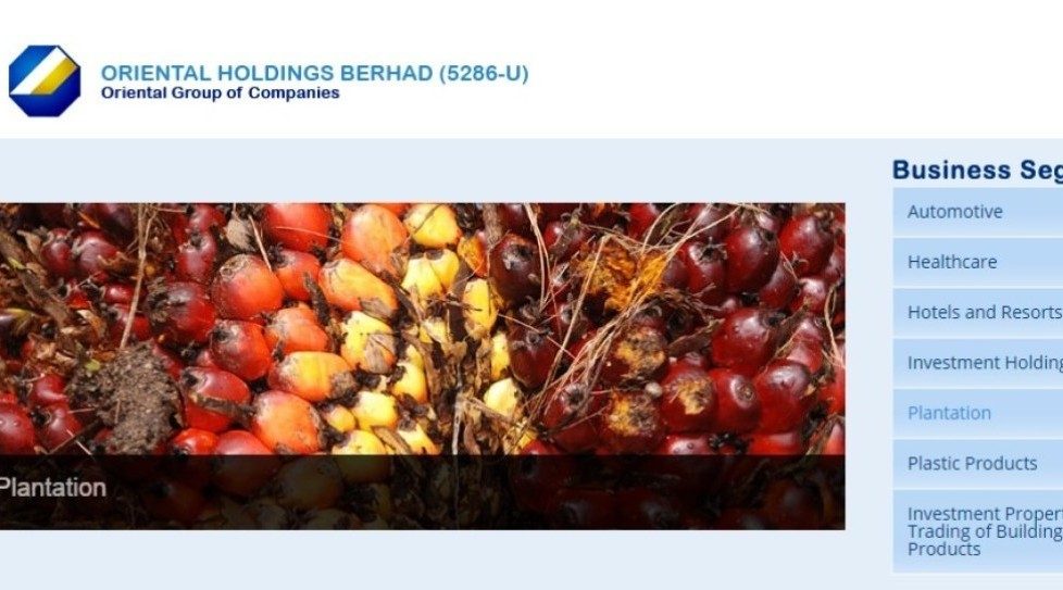 Malayasia: Oriental acquires 90% in Indonesian planter, Telekom's unit ups controlling stake in P1