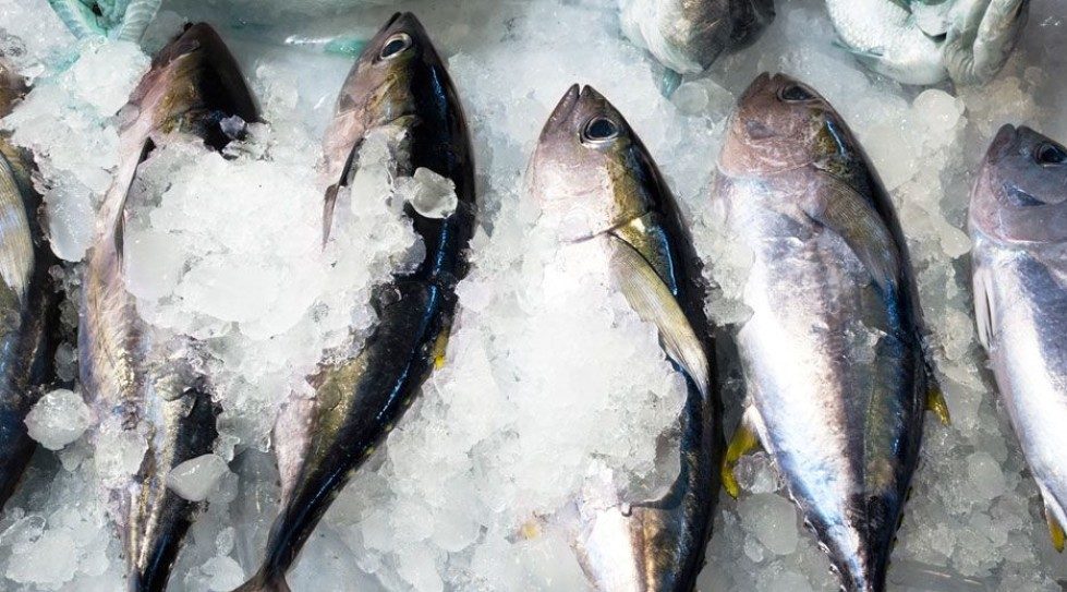 Tuna king Thai Union dives into plant-based seafood