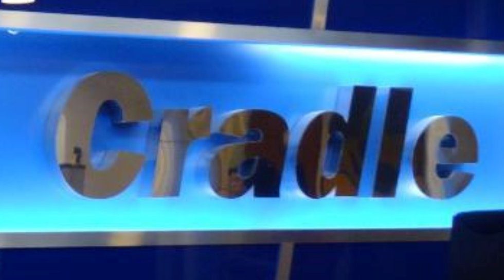 Exclusive: Malaysia's Cradle Fund to start direct equity investments next year