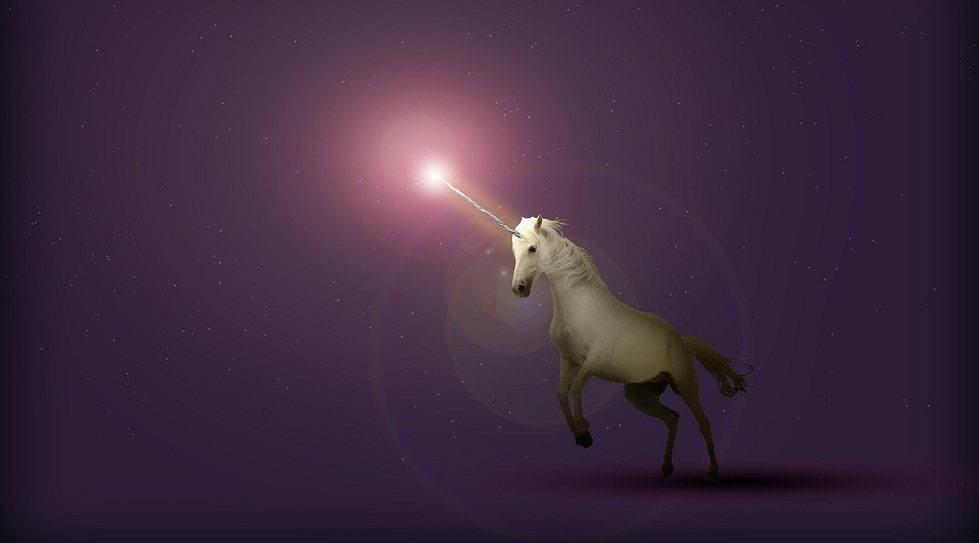 U.S. mutual funds boost their performance with unicorn mark-ups