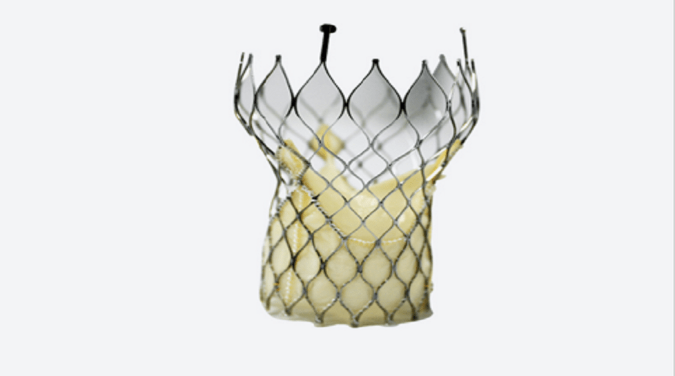 China: Goldman Sachs invests $37m in Chinese valve maker Venus Medtech