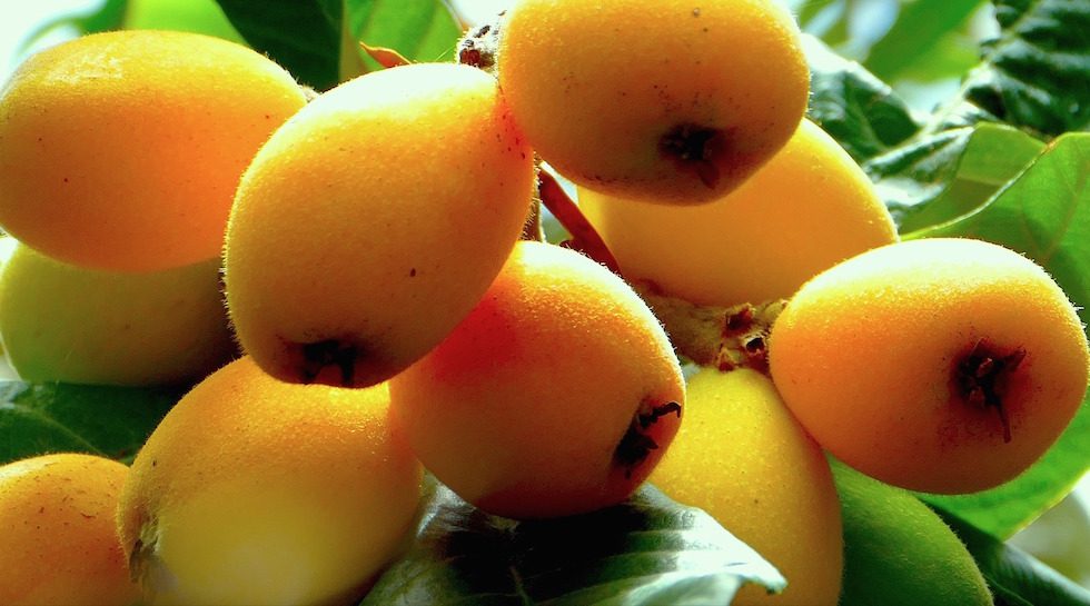 Singapore: Sino Grandness to list Garden Fresh Group in HK