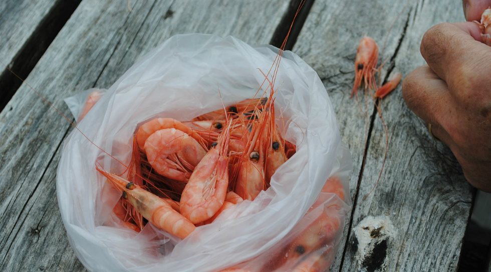 Thai Union eyes shrimp sector M&A, investments in Bangladesh, Indonesia