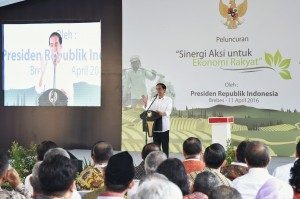 Indonesia sets up 15 smart cities as pilot to create digital economy