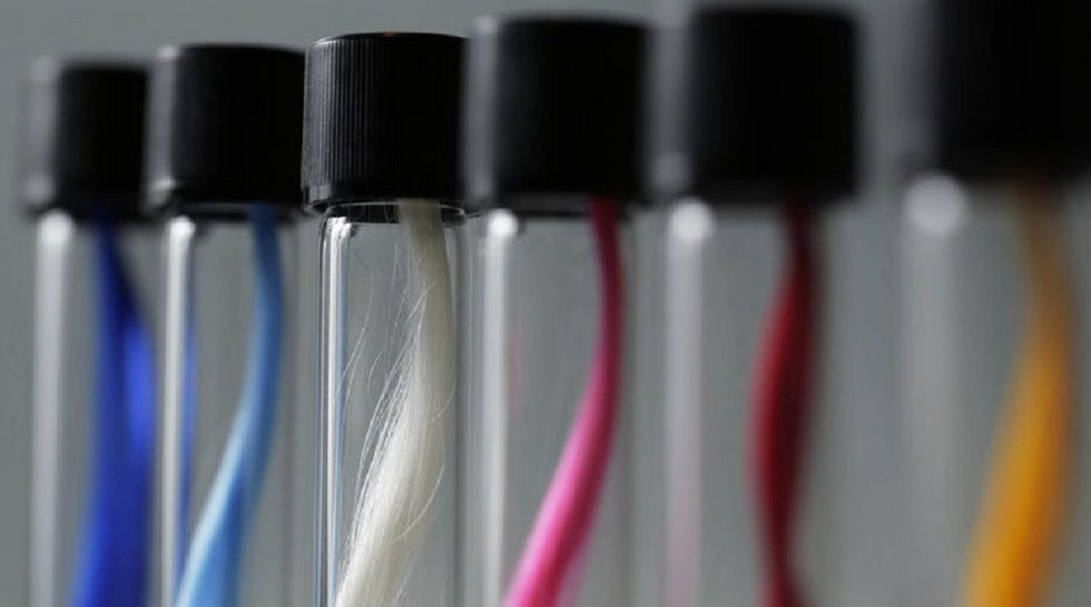 Japan startup spins profitable future for synthetic spider silk