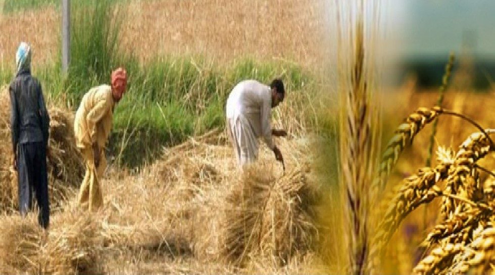 ADB okays $600m loan program for public enterprise reform in Pakistan