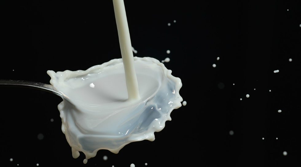 With aggressive acquisition efforts, Chinese dairy bigwigs aim past poisoning scandal