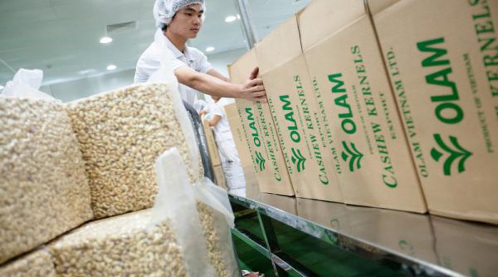 Singapore's Olam says it's focused on London IPO of food ingredients unit in Q2