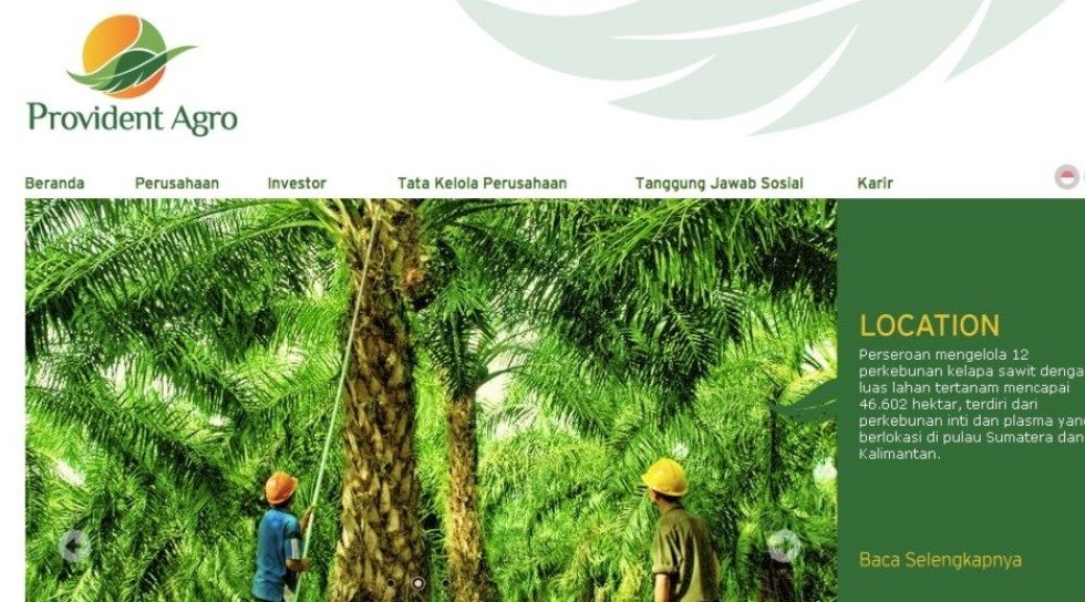 Indonesia: Provident Agro divests unit to SJAI for $20m