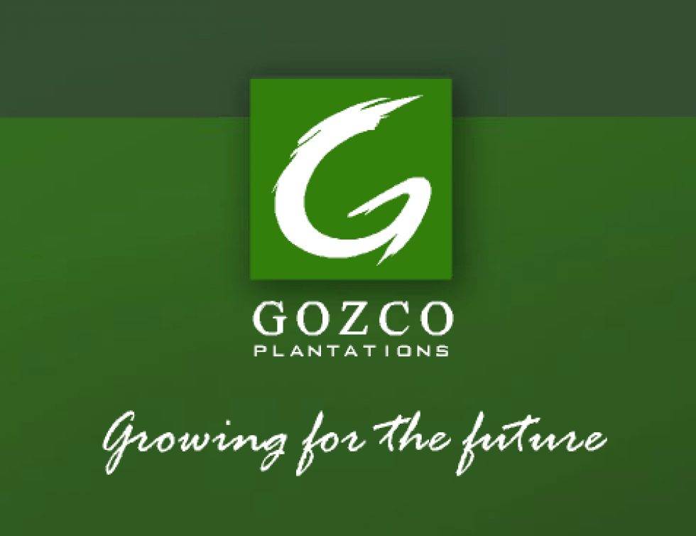 Indonesia: Gozco divests debt-ridden unit Palmdale Agroasia for $22.1m