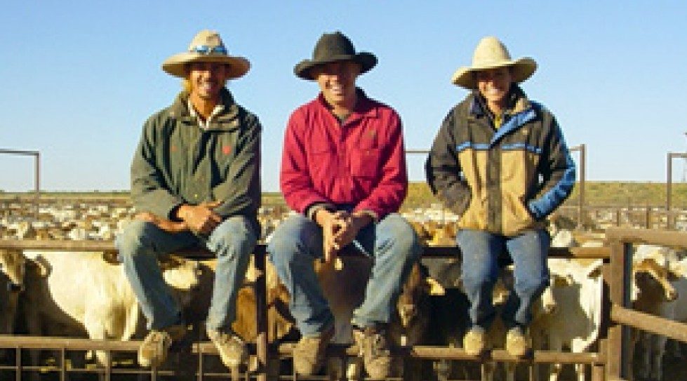 Australia approves $288m Kidman sale to Rinehart group