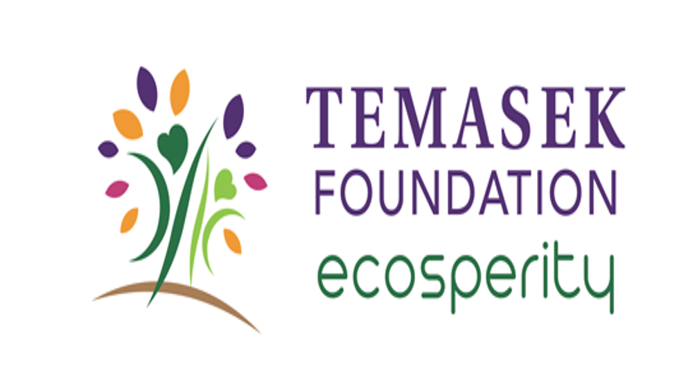Temasek Foundation to put in $4.2m to improve Singapore's liveability