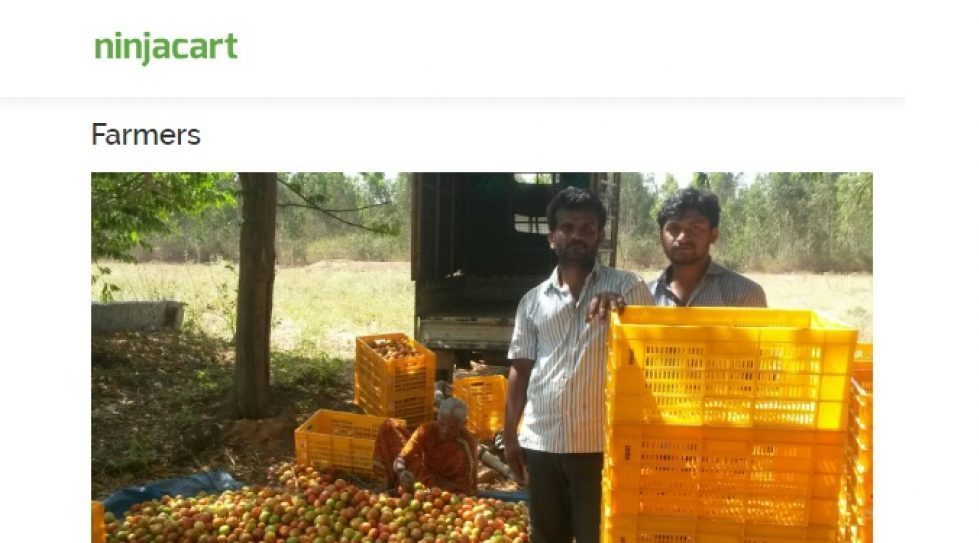 Flipkart, Walmart invest further $145m in Indian fresh produce supply startup Ninjacart