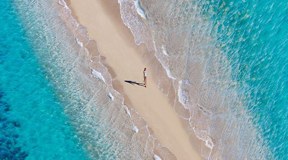 L Catterton Asia-backed swimwear brand Seafolly goes into voluntary administration