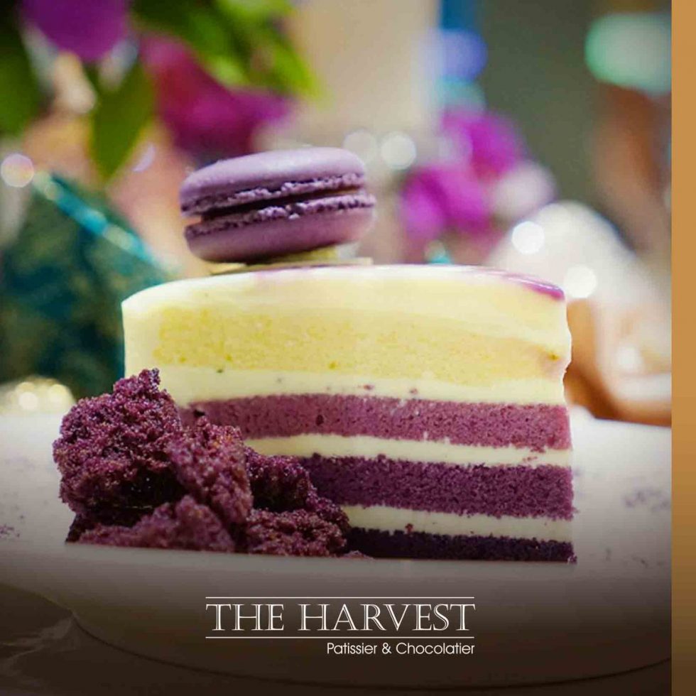 Exclusive: Falcon House invests in Indonesia's pastry shop chain The Harvest