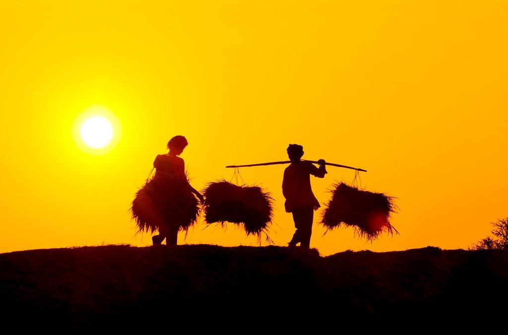 Vietnam: PE-backed Loc Troi Group to set up two JVs with Chinese partner