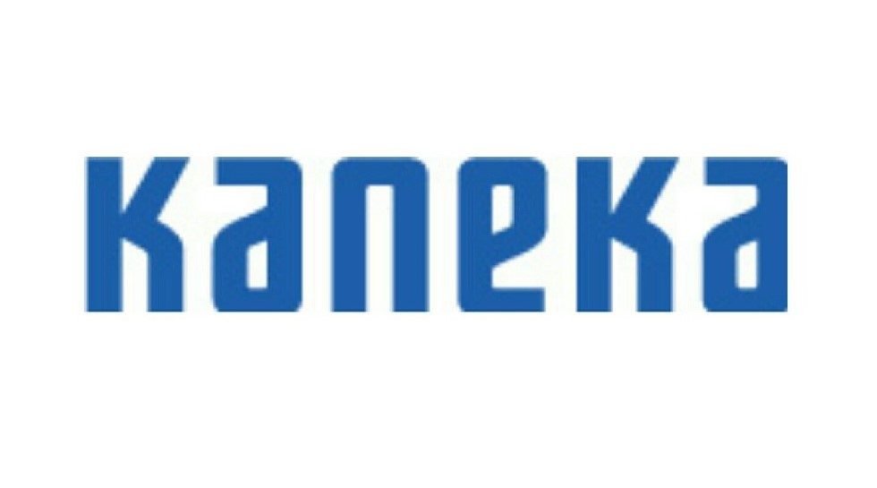 Japan: Kaneka buys out US-based resin supplier API for $15m