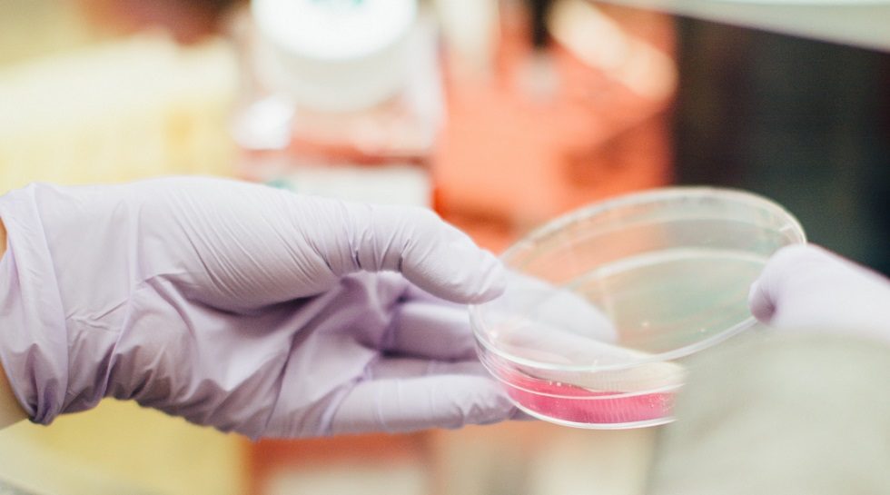 WuXi Biologics prices HK IPO top of range as investors jostle for a piece