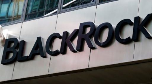 BlackRock built 5% stake in Japan's ex-Toshiba unit