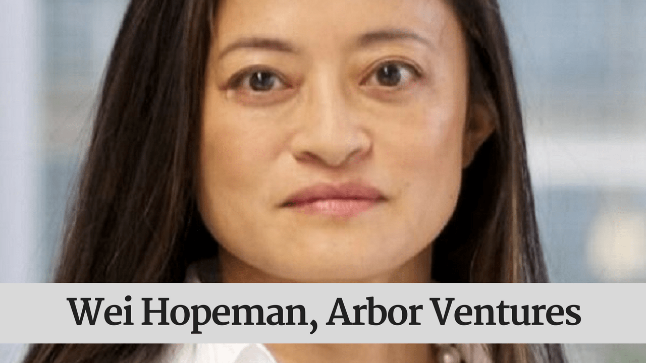 China firms' expansion a double-edged sword for Asia's VC scene: Wei Hopeman