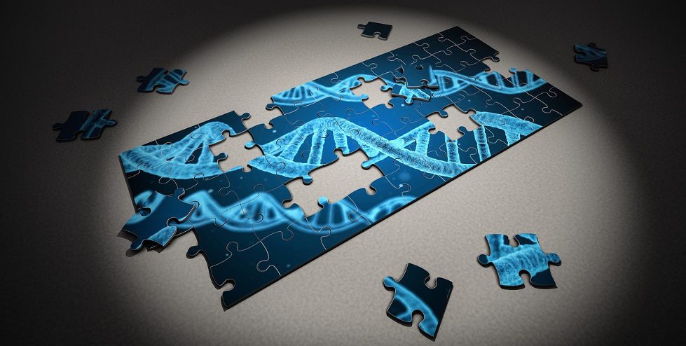 Chinese genome sequencing firm QitanTech bags $63m co-led by GL Ventures, CDH