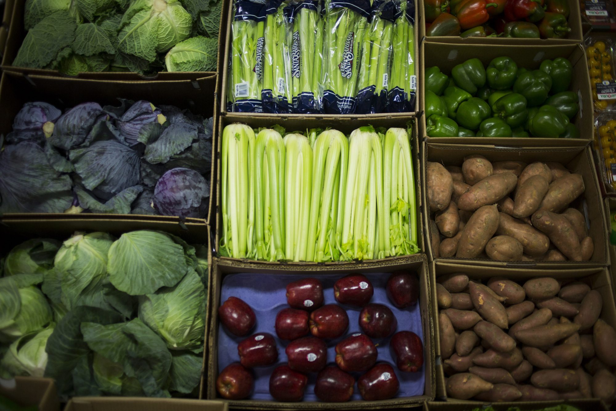 China: Fresh fruit chain Pagoda raises $230m in series B